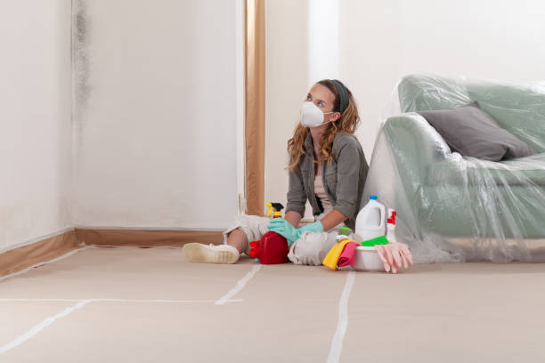 Reliable Mold Testing contractor in Stratford, NJ by WQB Mold Removal